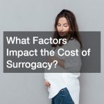 What Factors Impact the Cost of Surrogacy?